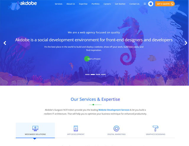 Akdobe Web Services in Gurgaon India